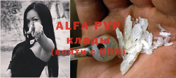 стаф Баксан