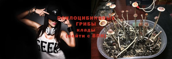 стаф Баксан