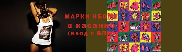 стаф Баксан
