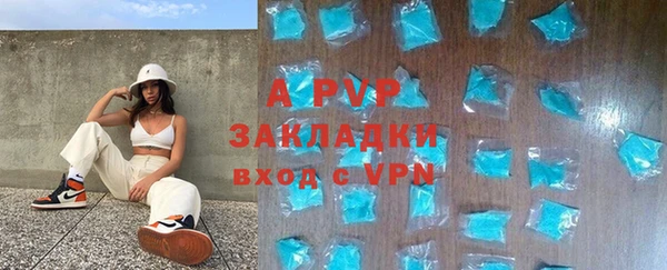 стаф Баксан