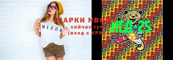 стаф Баксан
