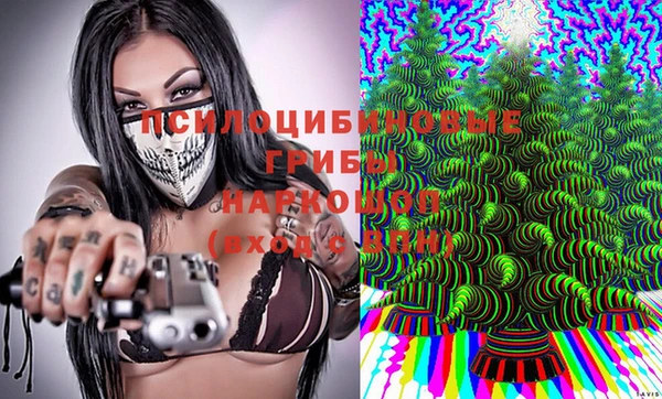 стаф Баксан